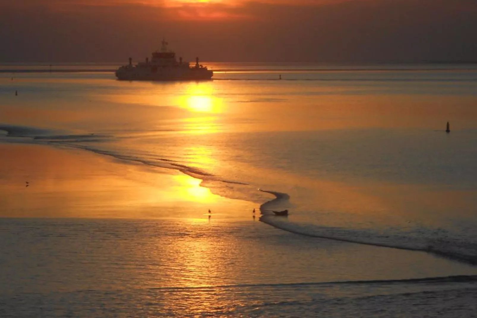 Waddenhuisjes Paesens-Zones d'été à 5 km