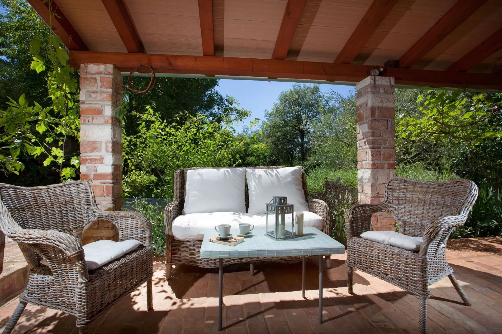 Casa Peronospora-Gardens summer