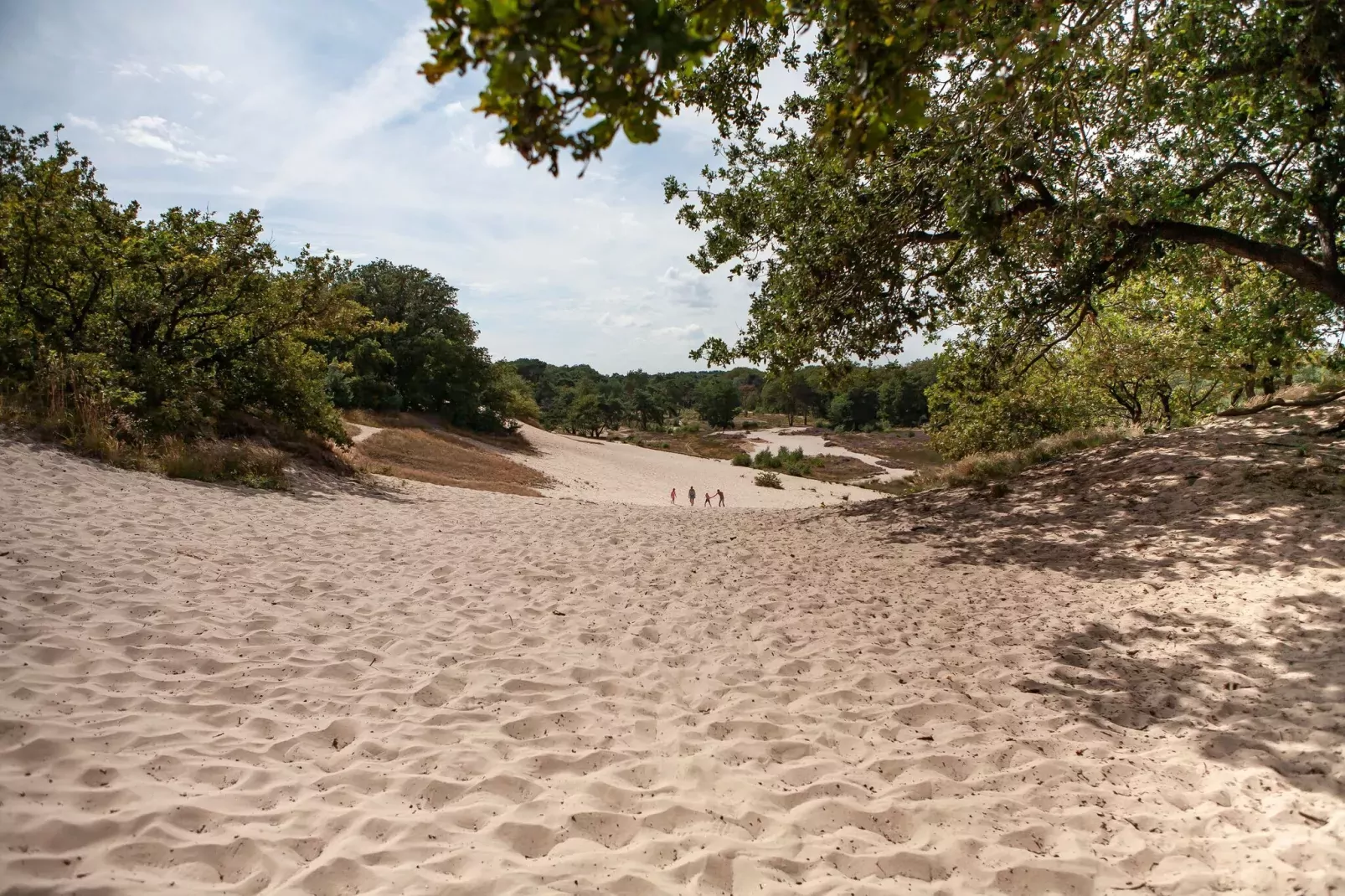 Vakantiepark Sandberghe 8-Areas summer 1km