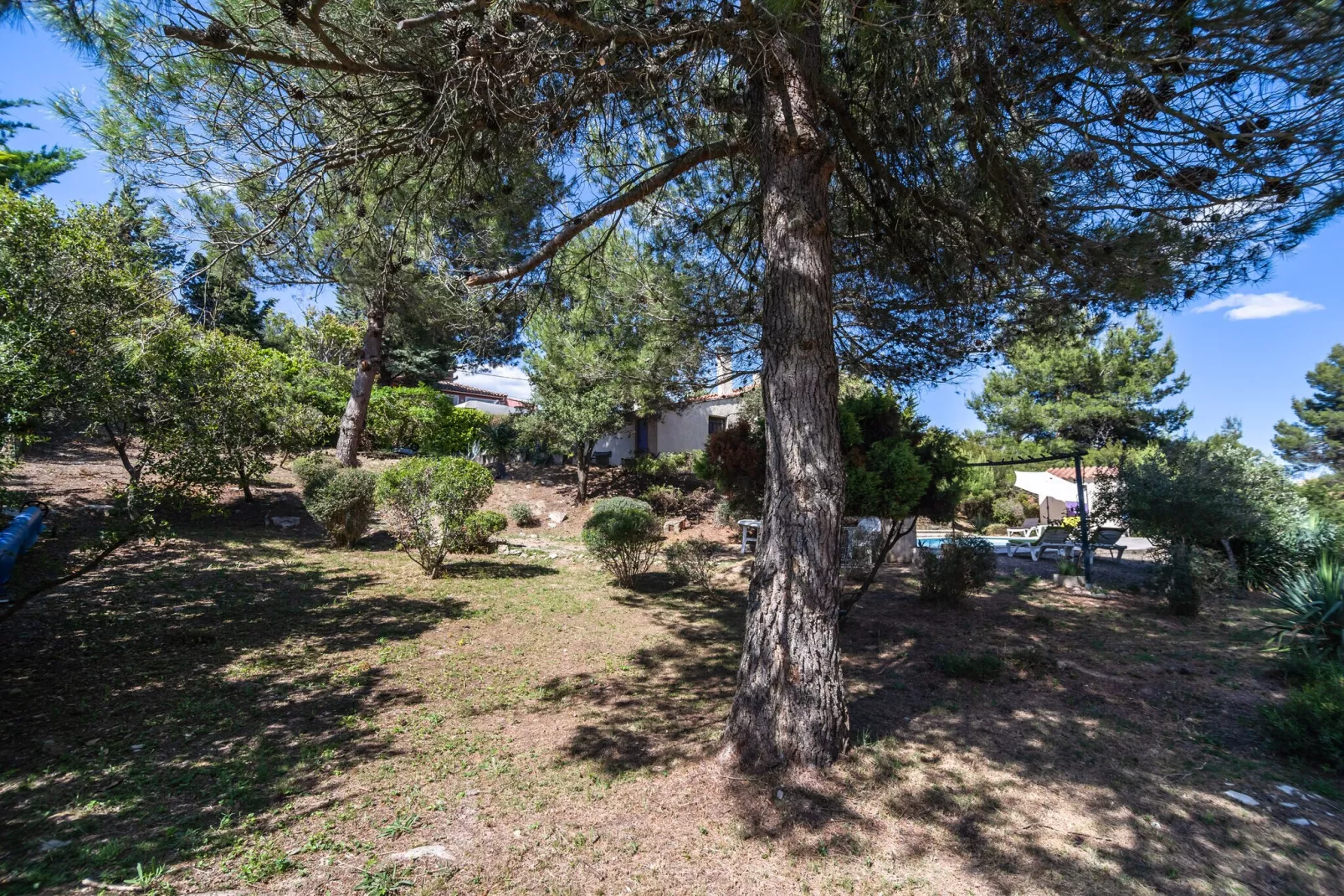 Villa Les Ecureuils-Gardens summer
