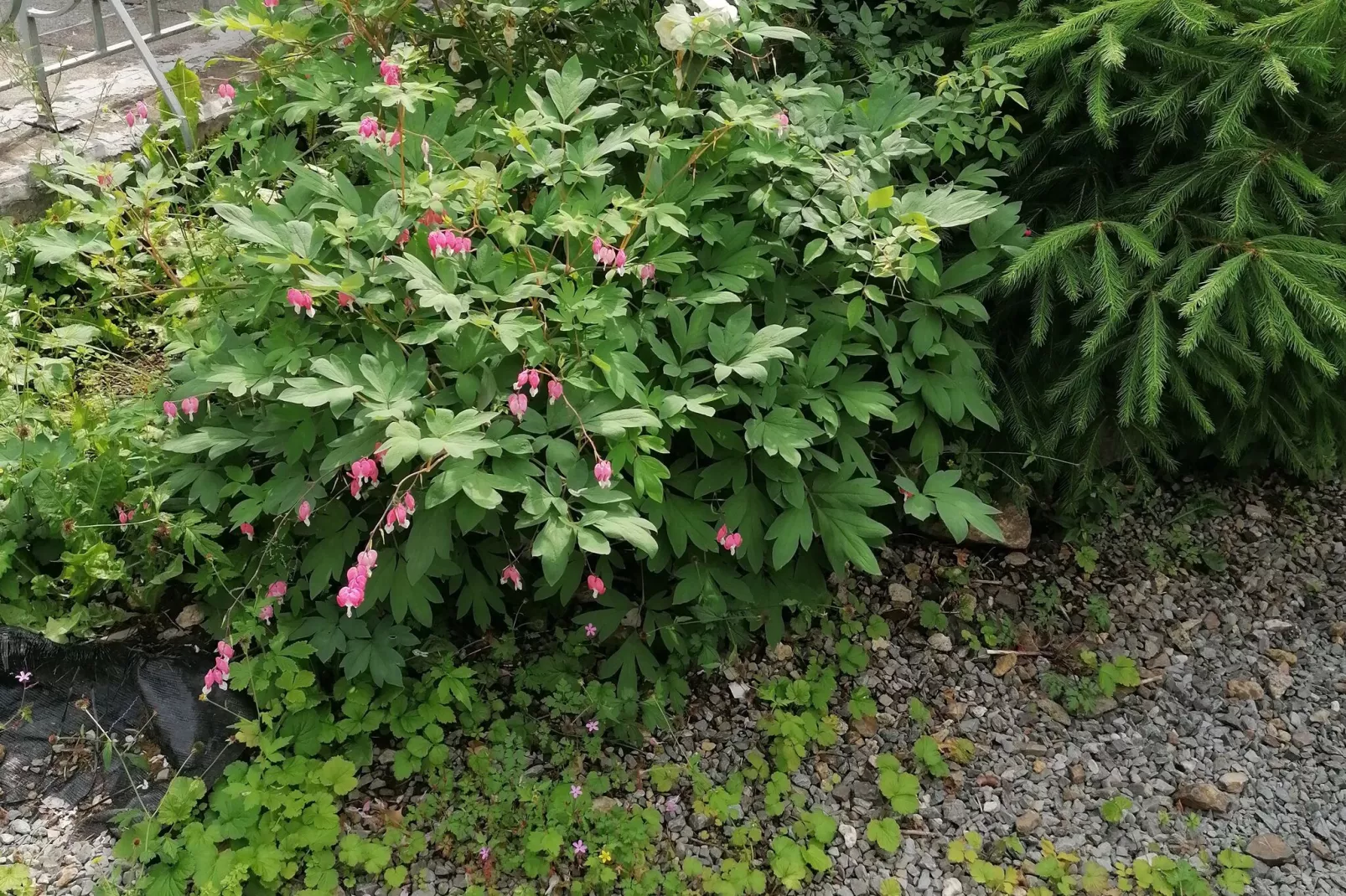 Le Gite de Saint Gilles-Außenbereich Sommer