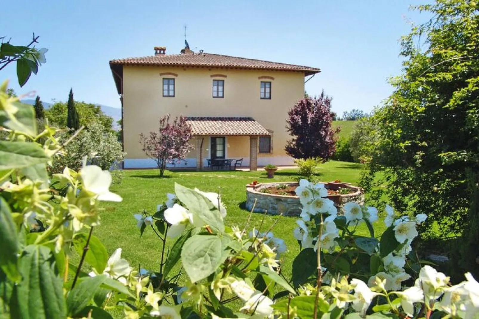 Agri-tourism Poggio al Sole Vinci Type Girasole