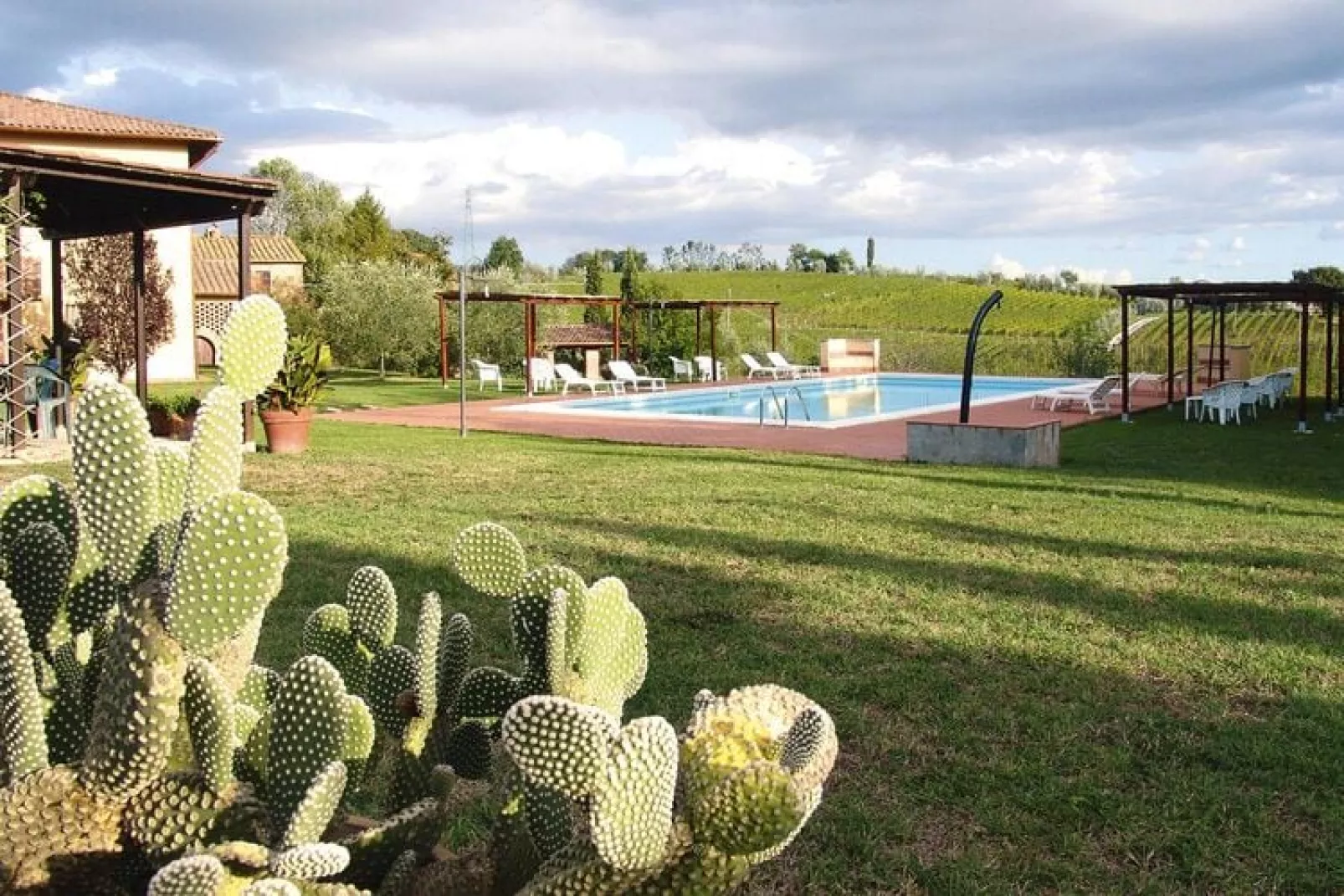 Agri-tourism Poggio al Sole Vinci Type Girasole