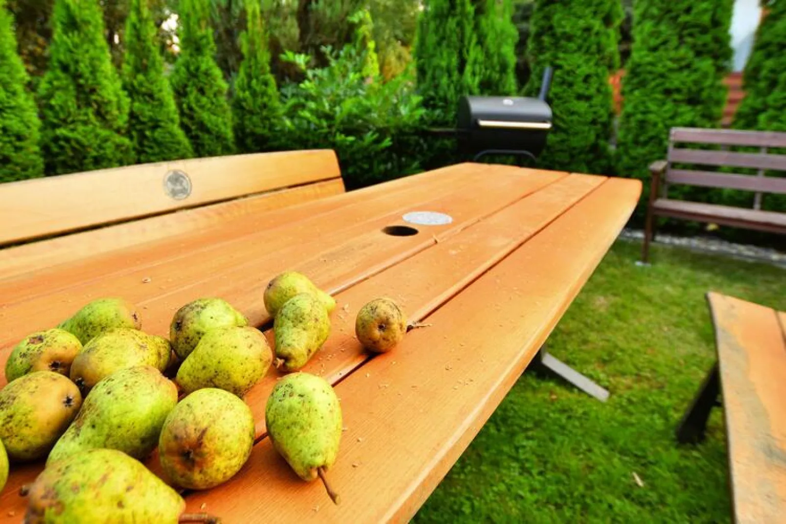 Piętrowe domki wakacyjne Kołobrzeg-Jardin d'été