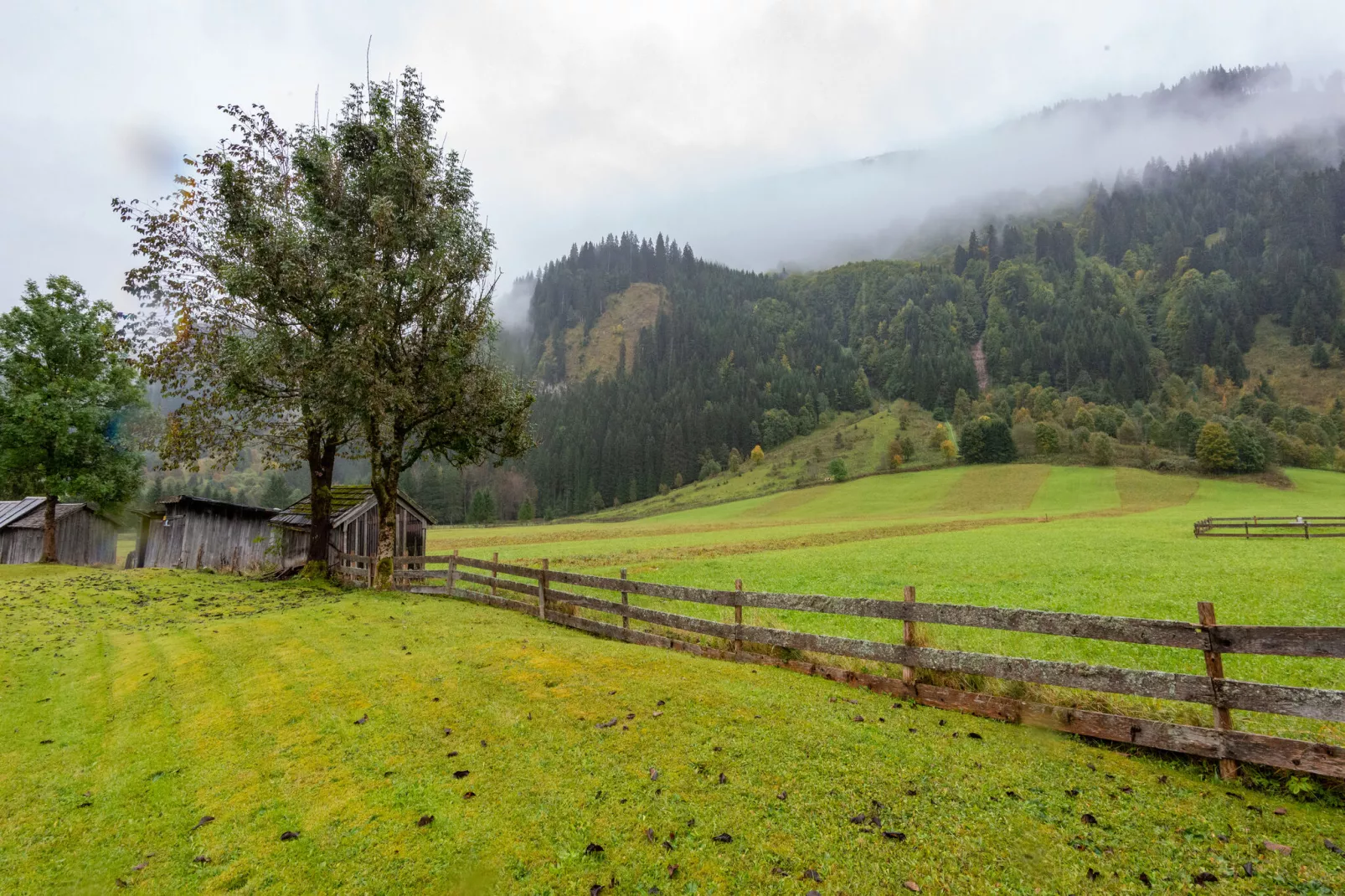 Haus Bergwald TOP 2-Areas summer 1km