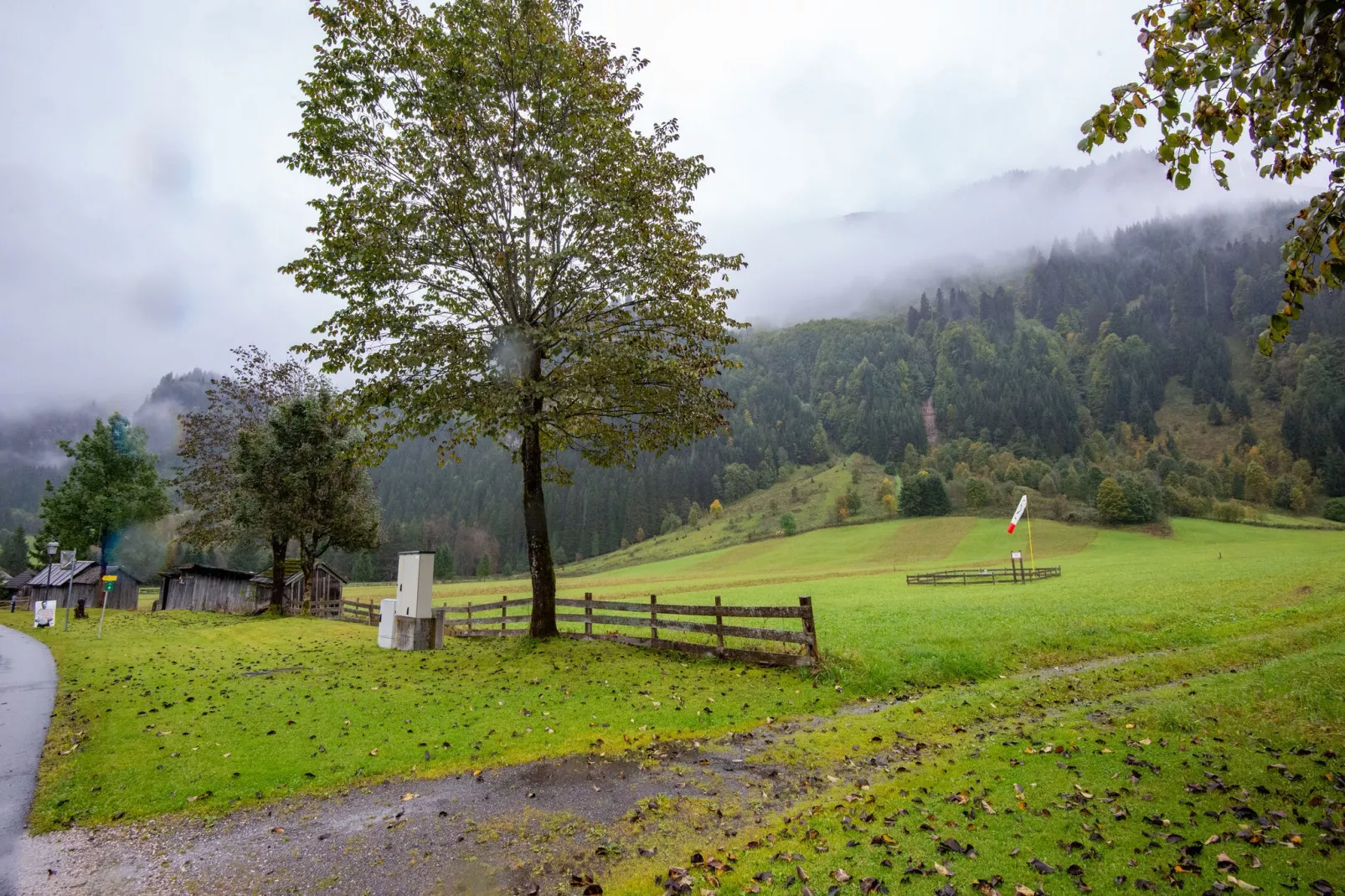 Haus Bergwald TOP 2-Areas summer 5km