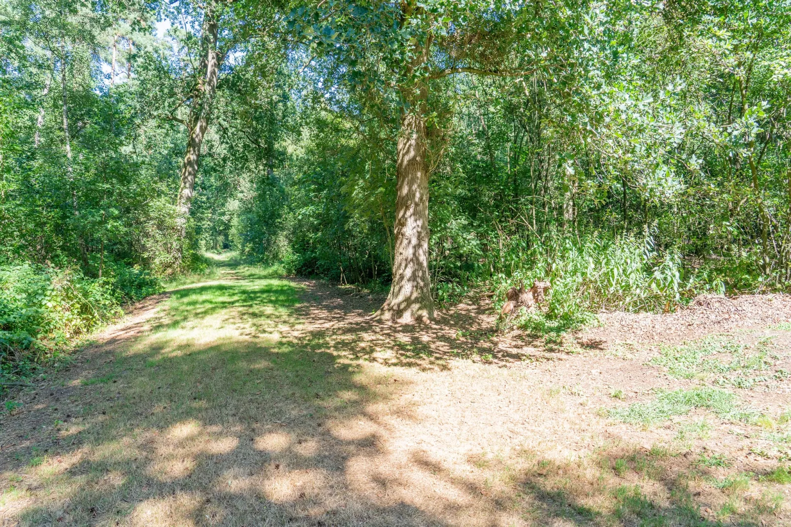 Boschhuis Boucle-Areas summer 5km