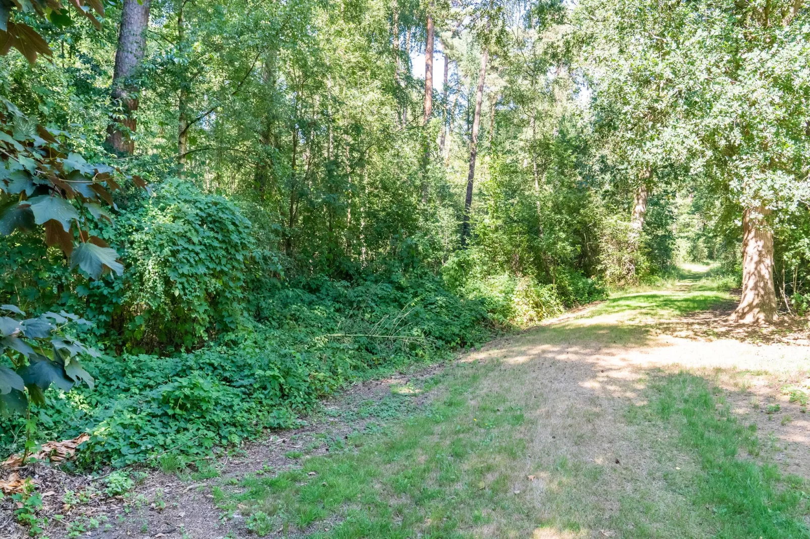 Boschhuis Boucle-Areas summer 5km