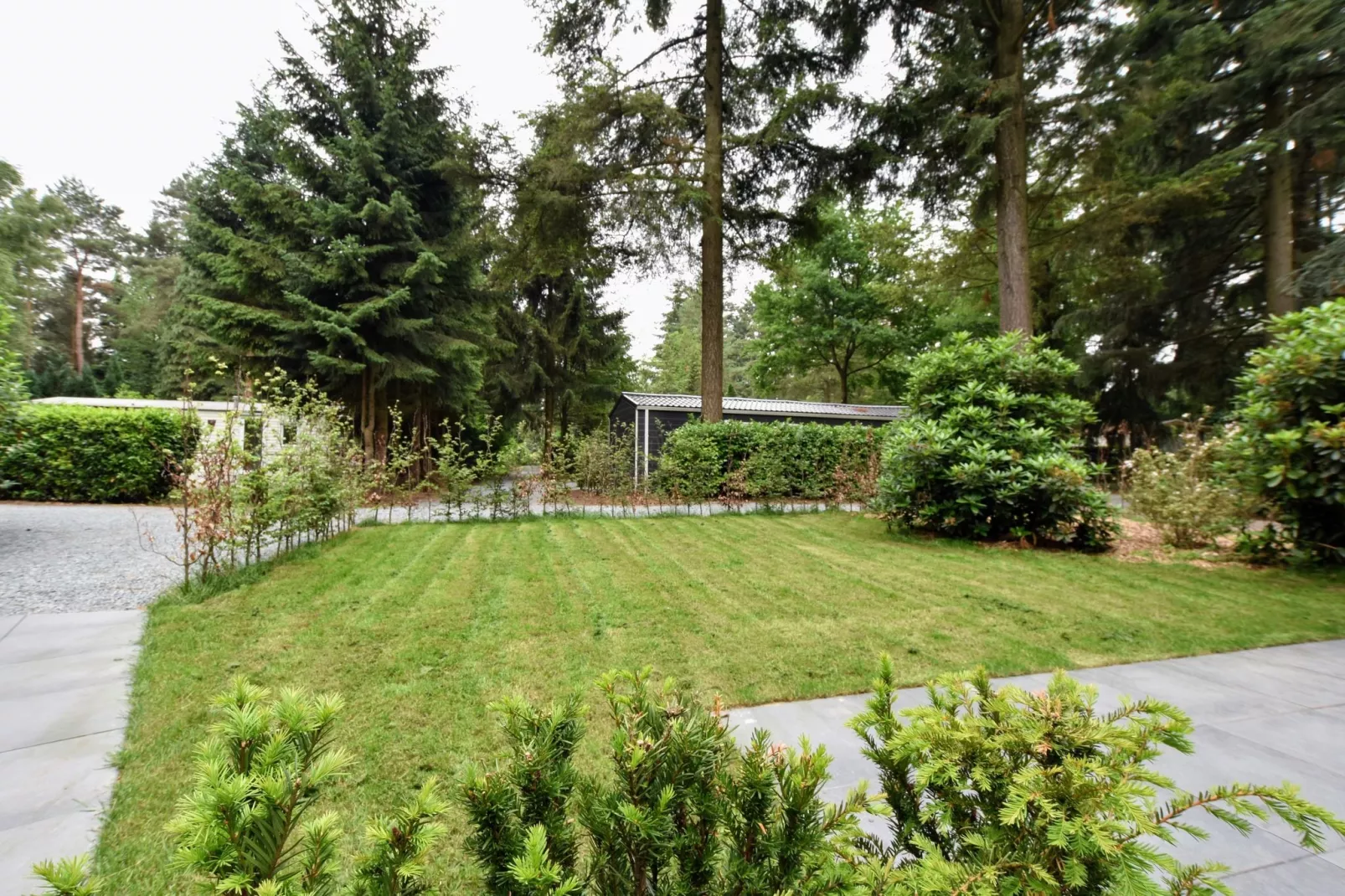Recreatiebospark de Reehorst 1-Jardin d'été
