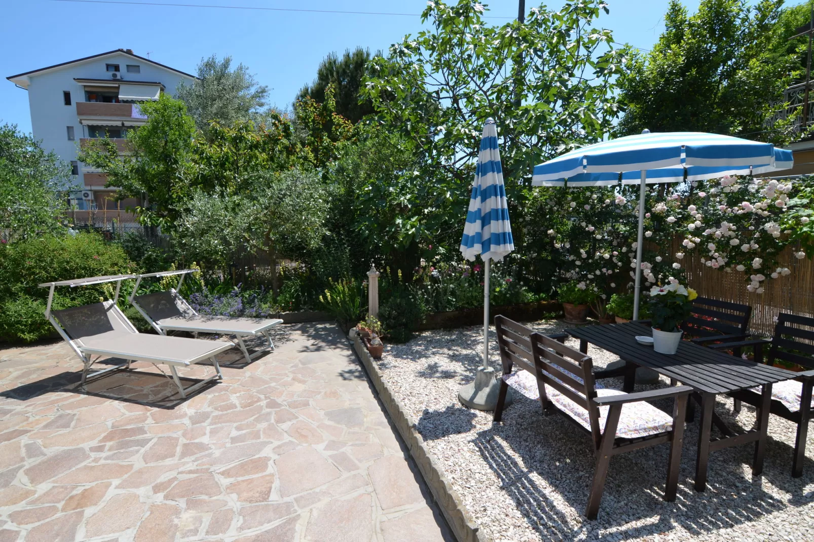 Venturi Olive-Gardens summer