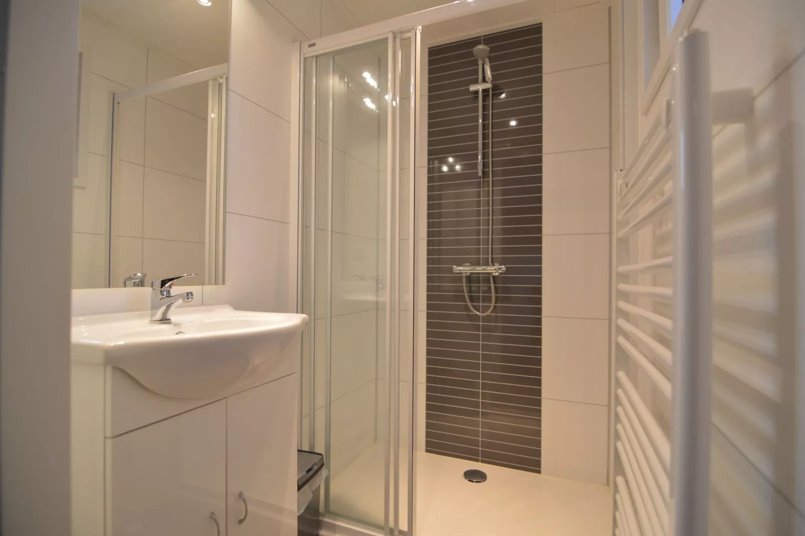 Recreatiebospark de Reehorst 2-Badezimmer