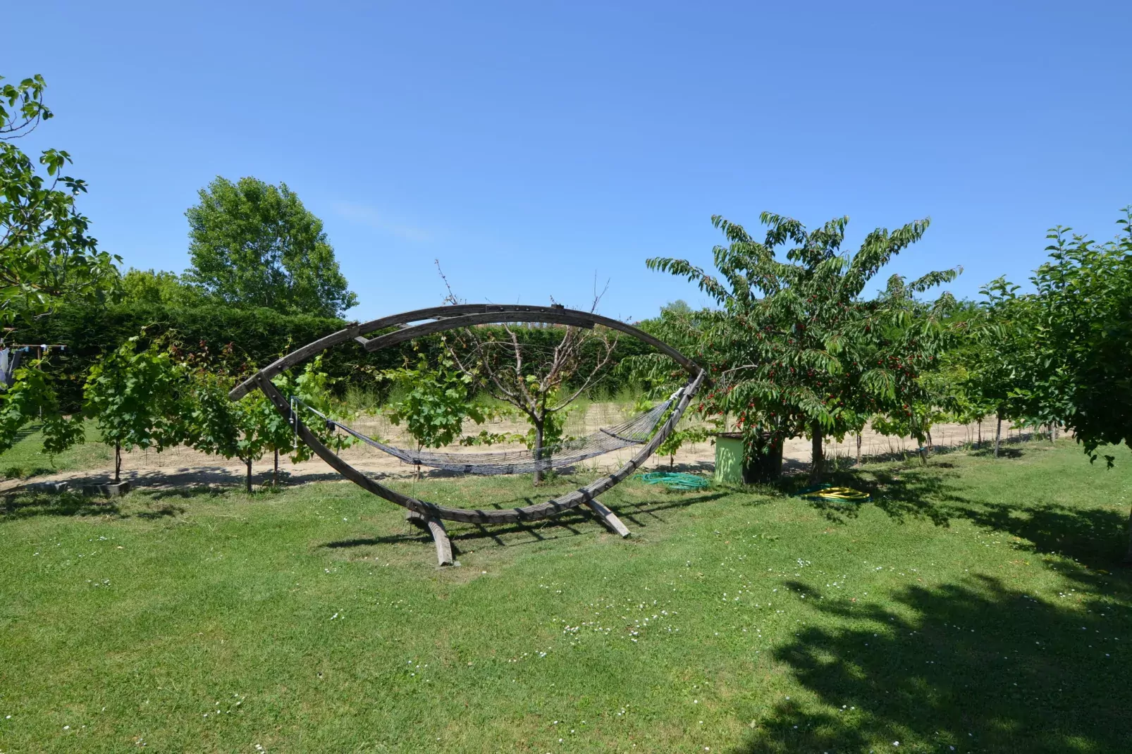 Venturi Olive-Facilities