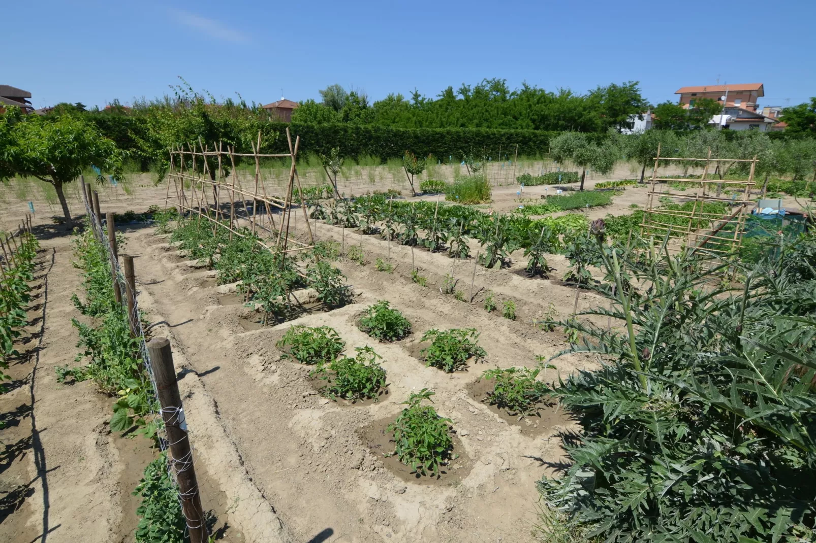 Venturi Olive-Facilities