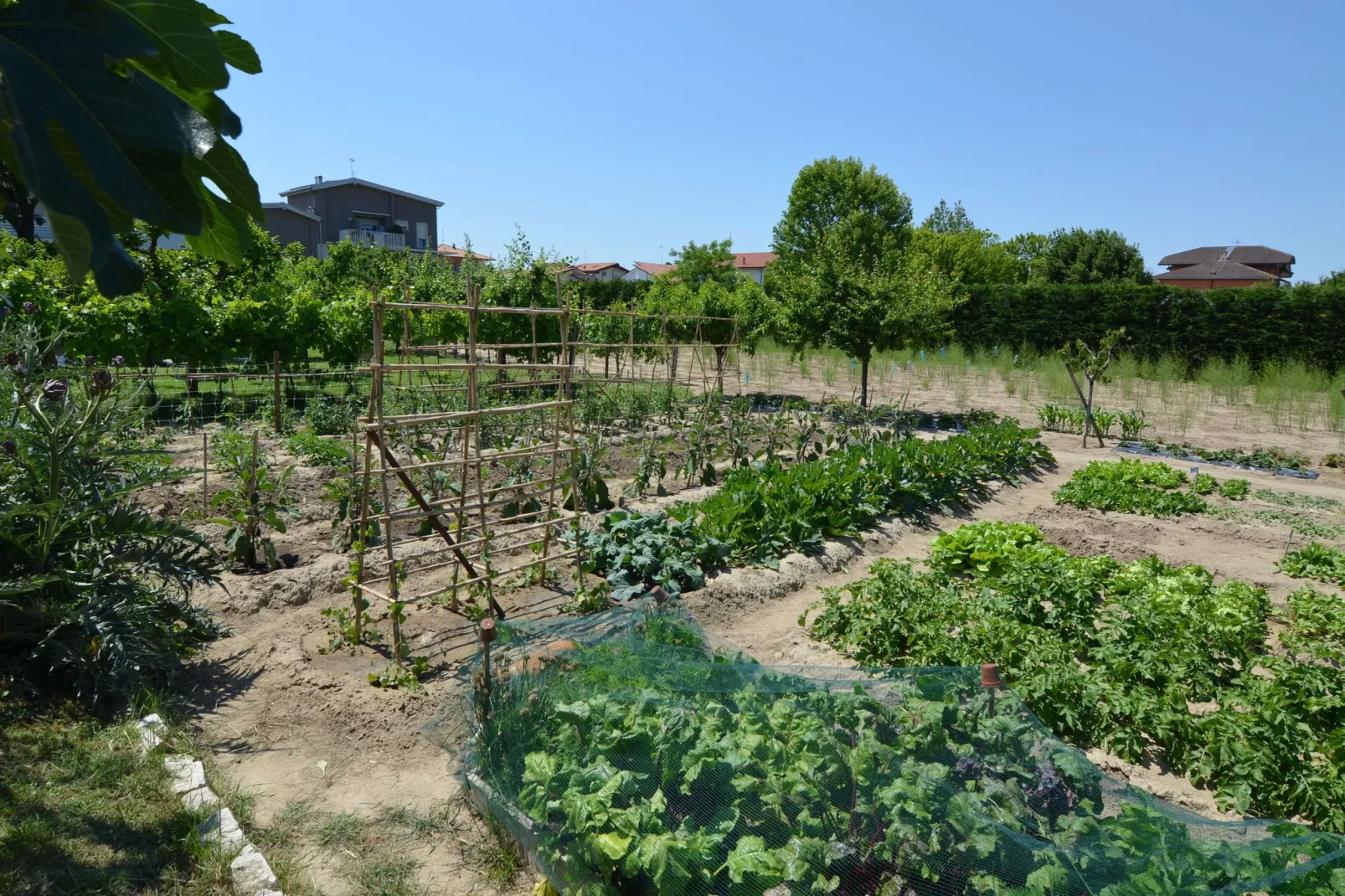 Venturi Olive-Facilities