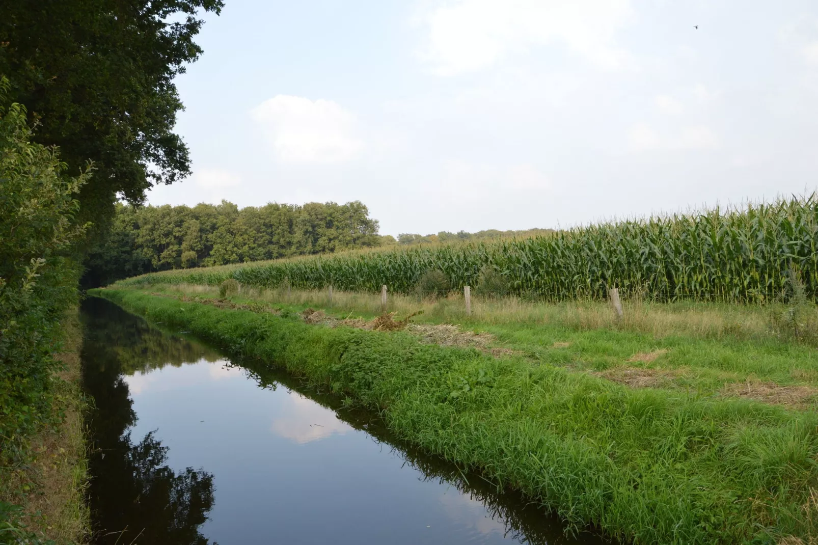 Erve Baak-Areas summer 1km