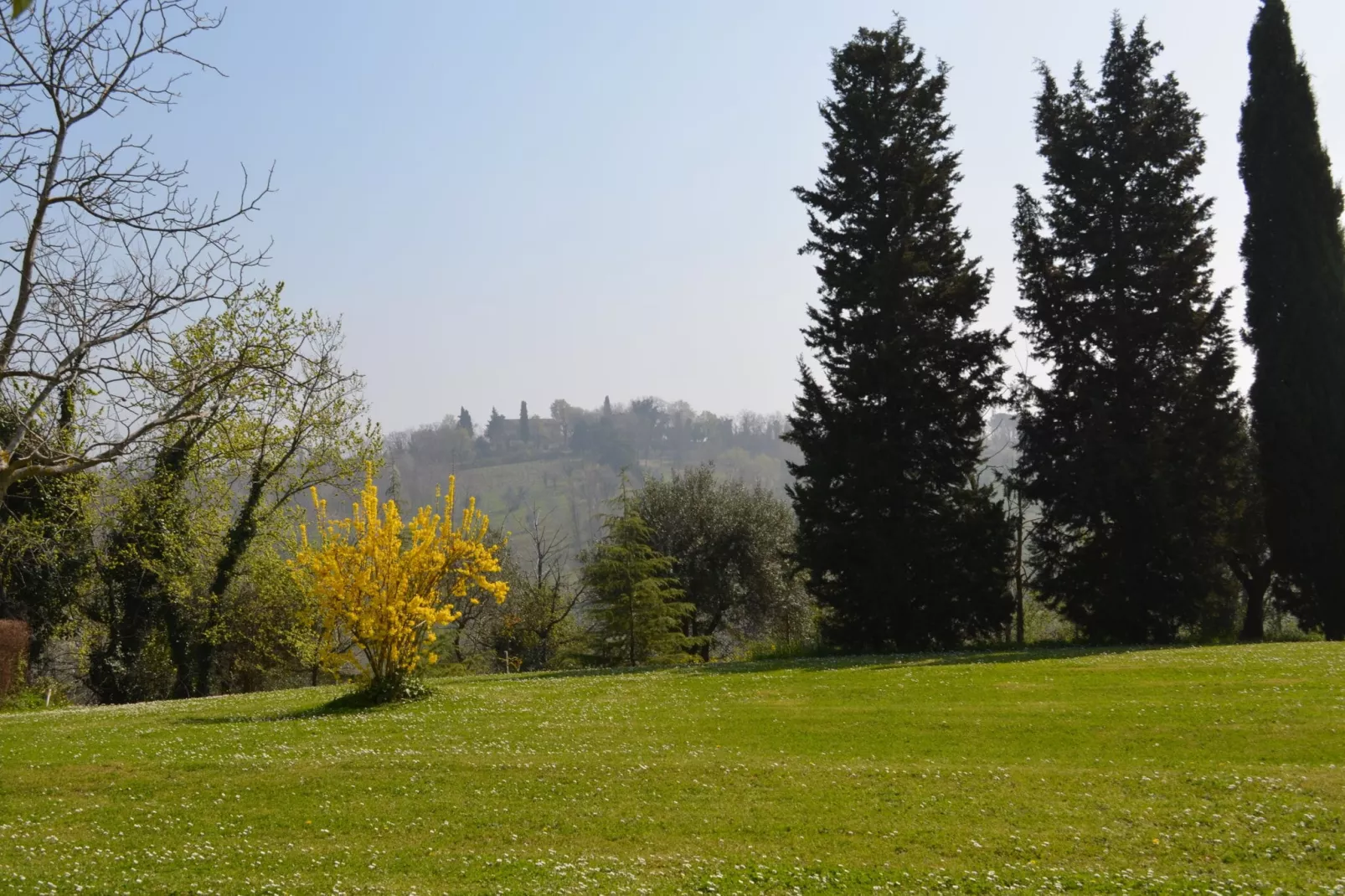 Villa degli Ulivi-Gardens summer
