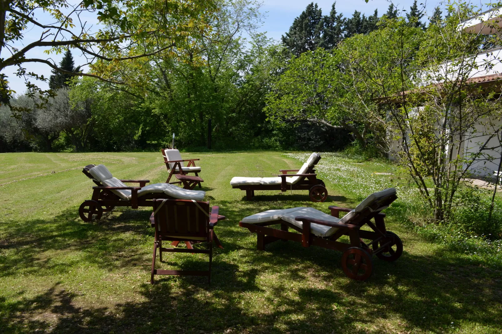 Villa degli Ulivi-Gardens summer