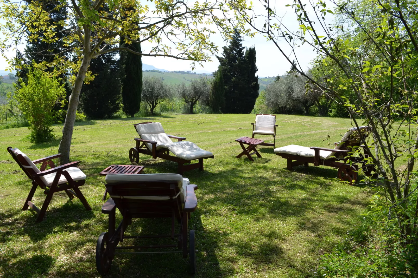 Villa degli Ulivi-Gardens summer