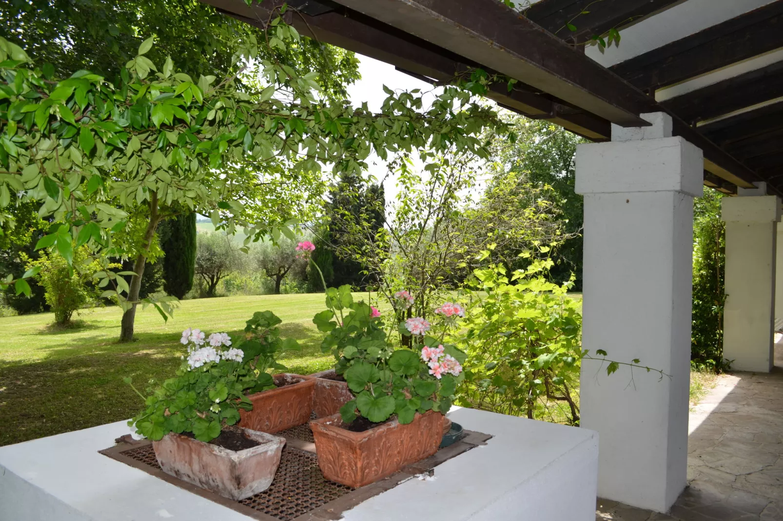 Villa degli Ulivi-Gardens summer