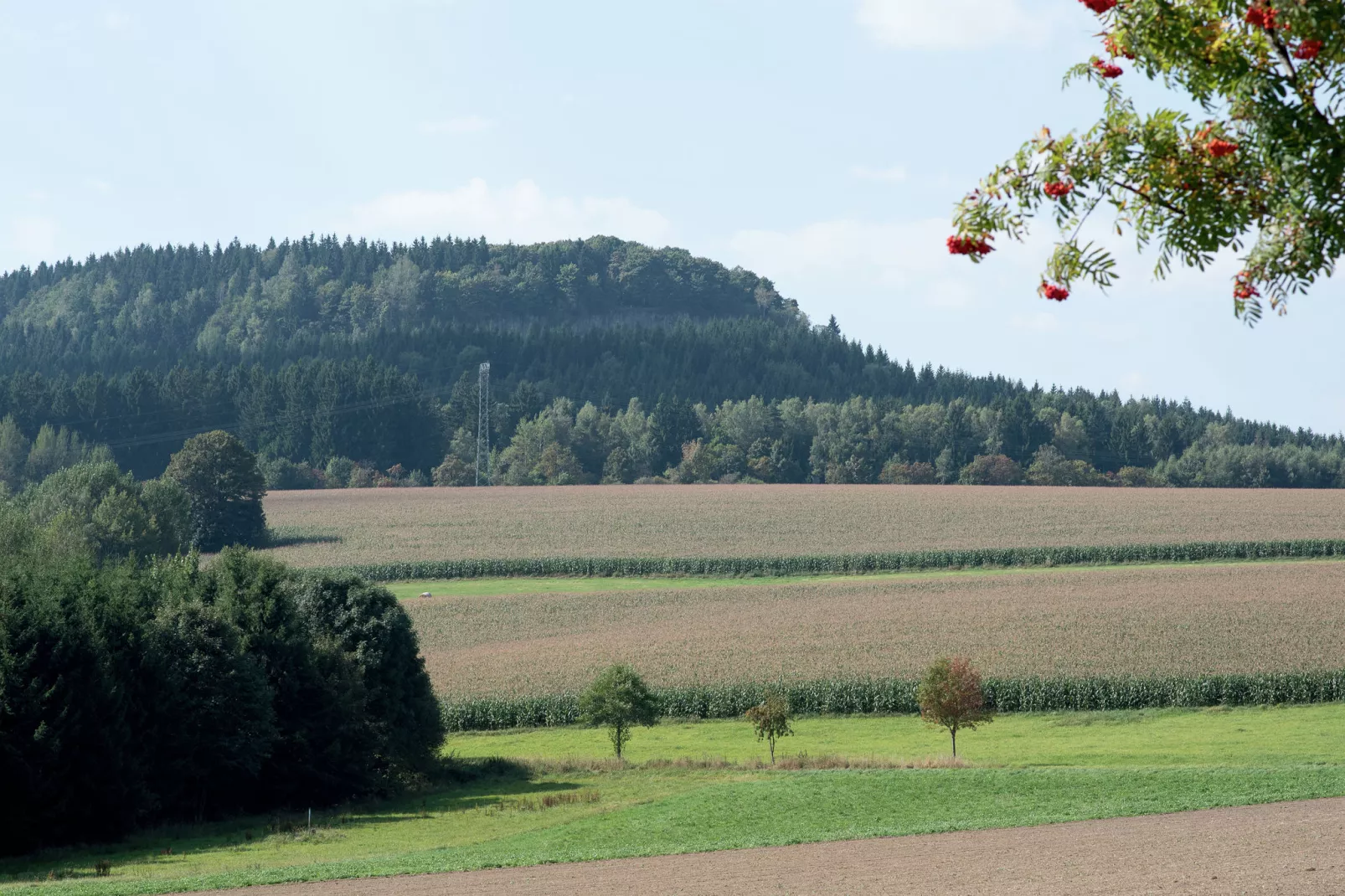 Honighäusl-Vue d'été