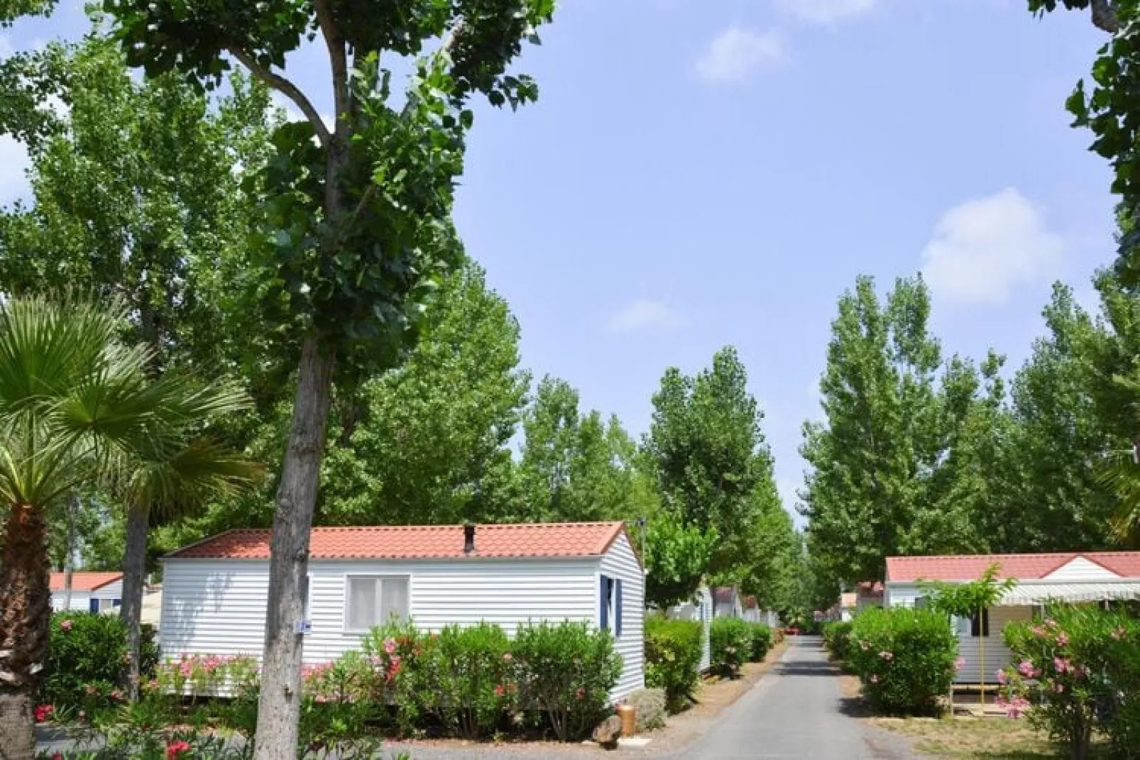 Camping L'Air Marin Vias-Plage / Mobilhome TAMPICO-Installations du parc
