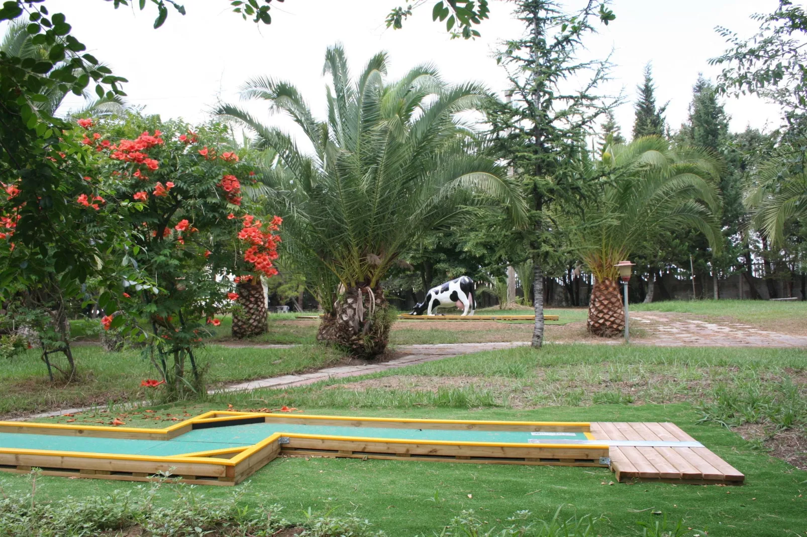 Casa Giacinto-Facilities
