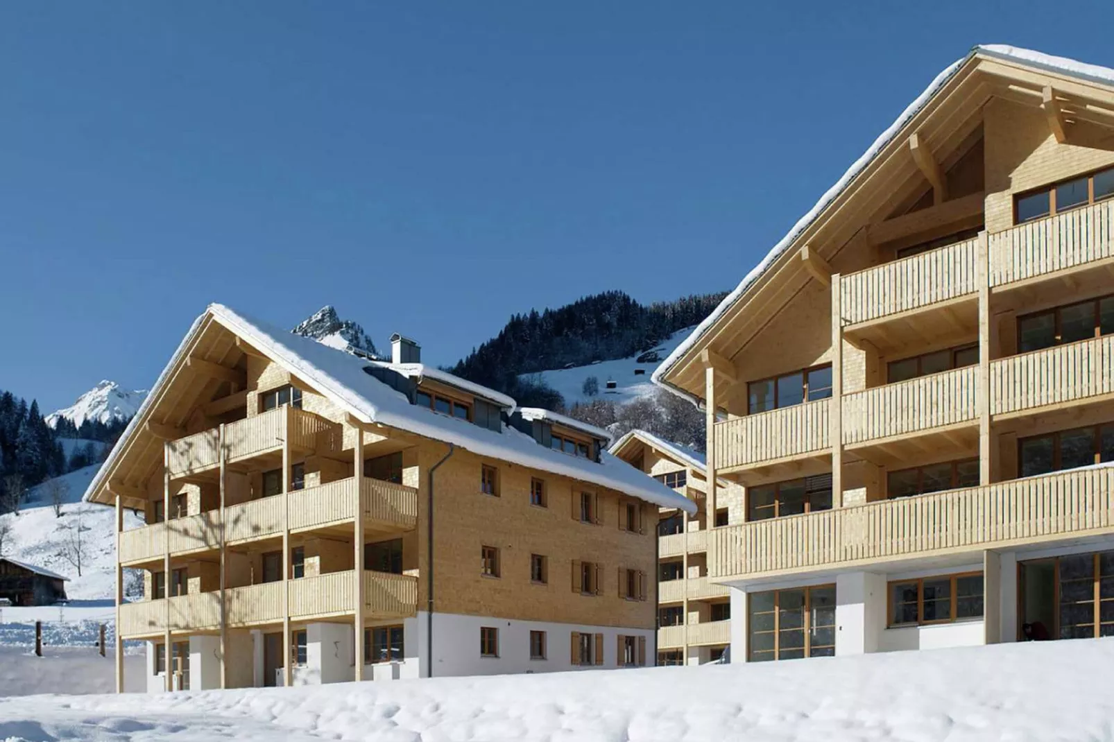 Mountain Lodge Brand-Exterior winter