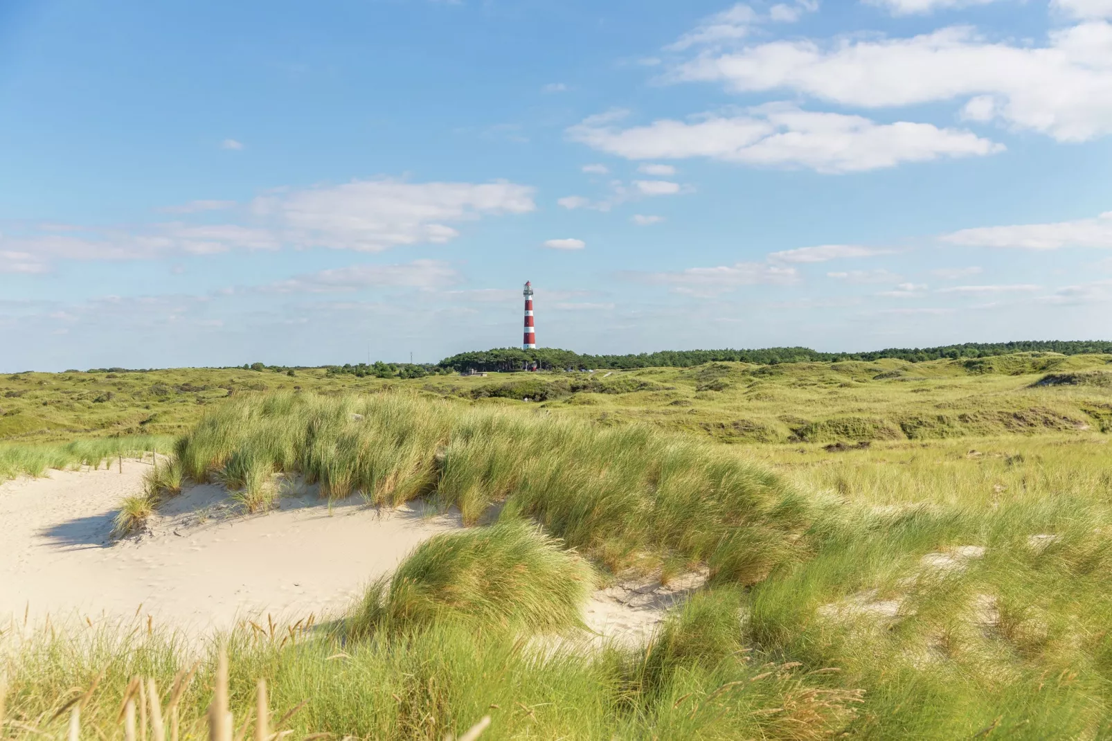 Vakantiepark Boomhiemke 9-Areas summer 5km