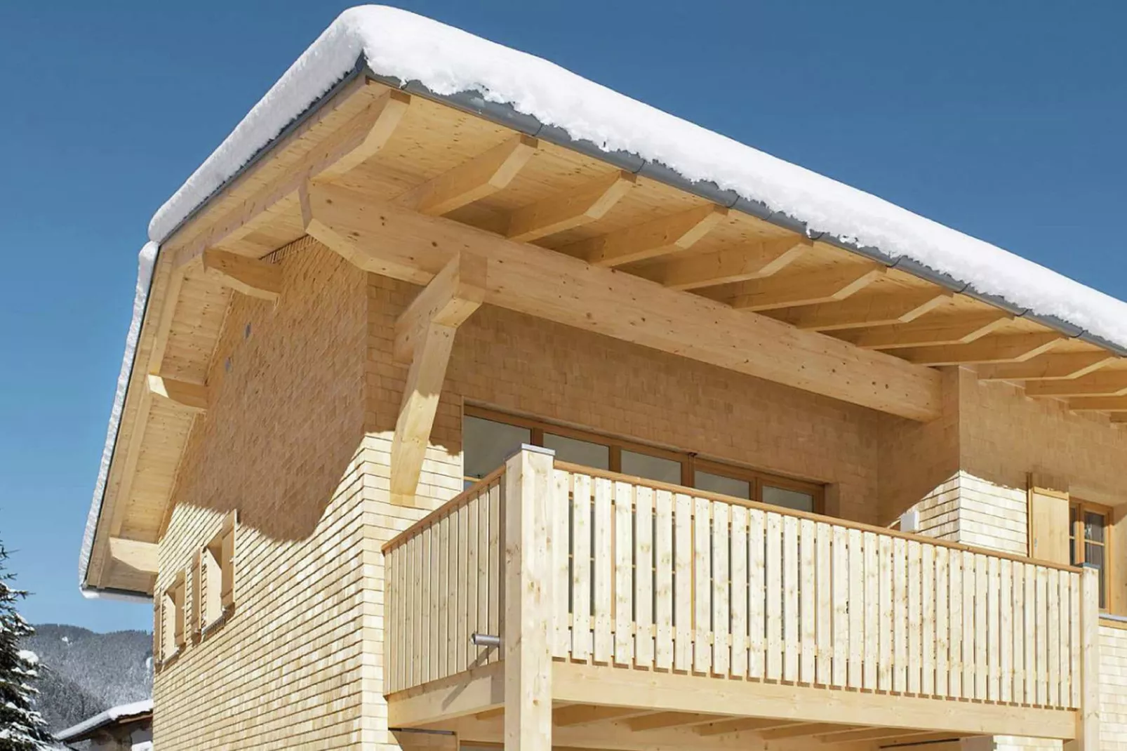 Mountain Lodge Brand-Exterior winter