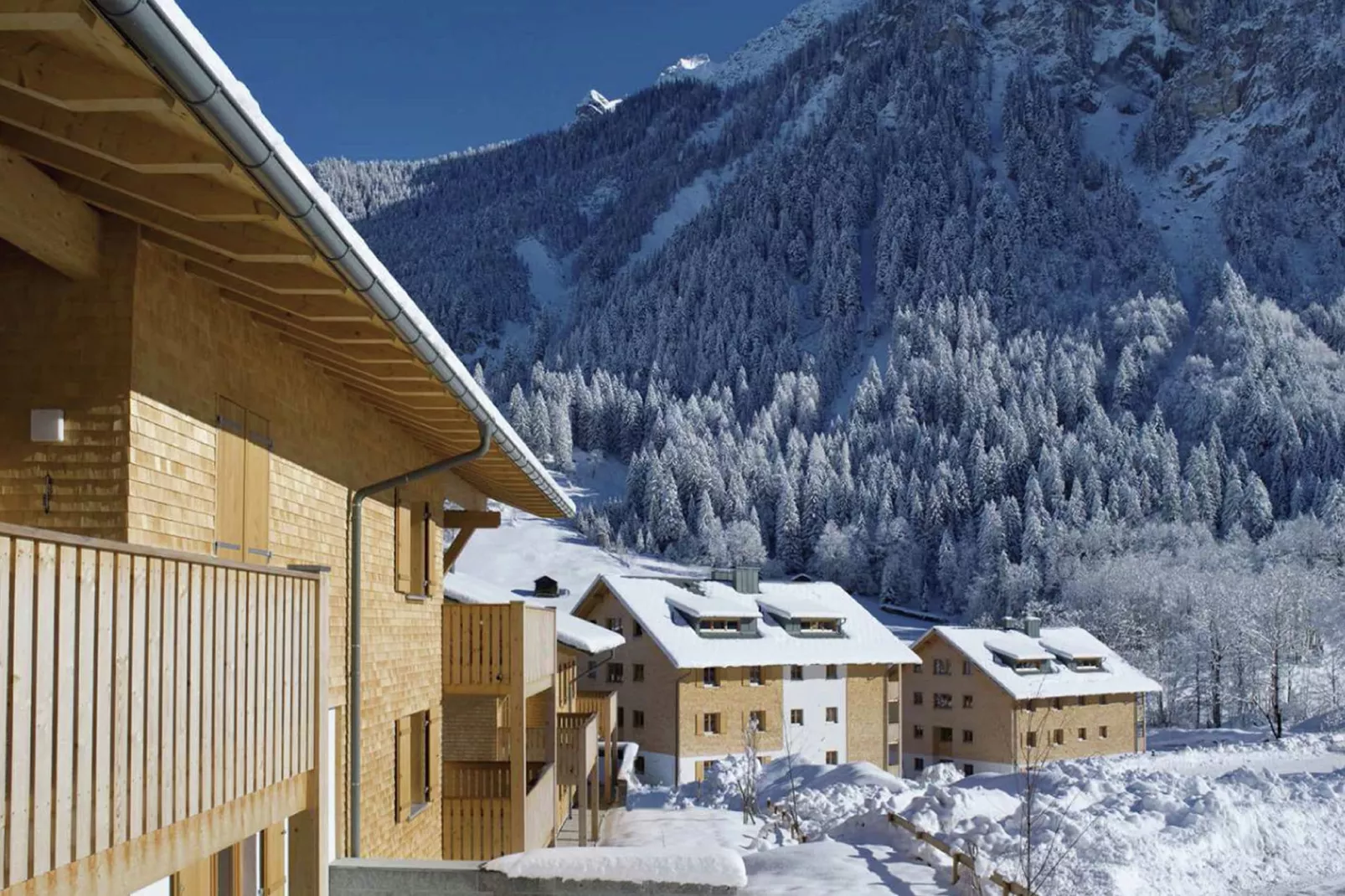 Mountain Lodge Brand-Exterior winter