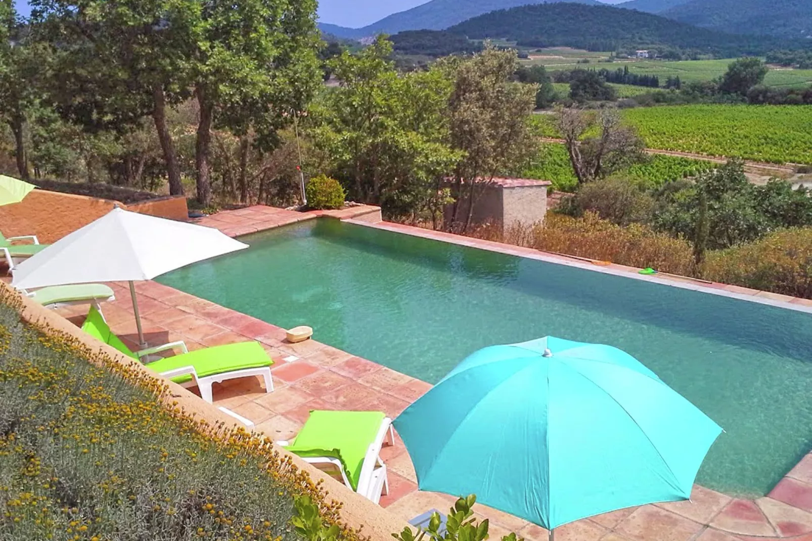 Mas des Vignes-Pool