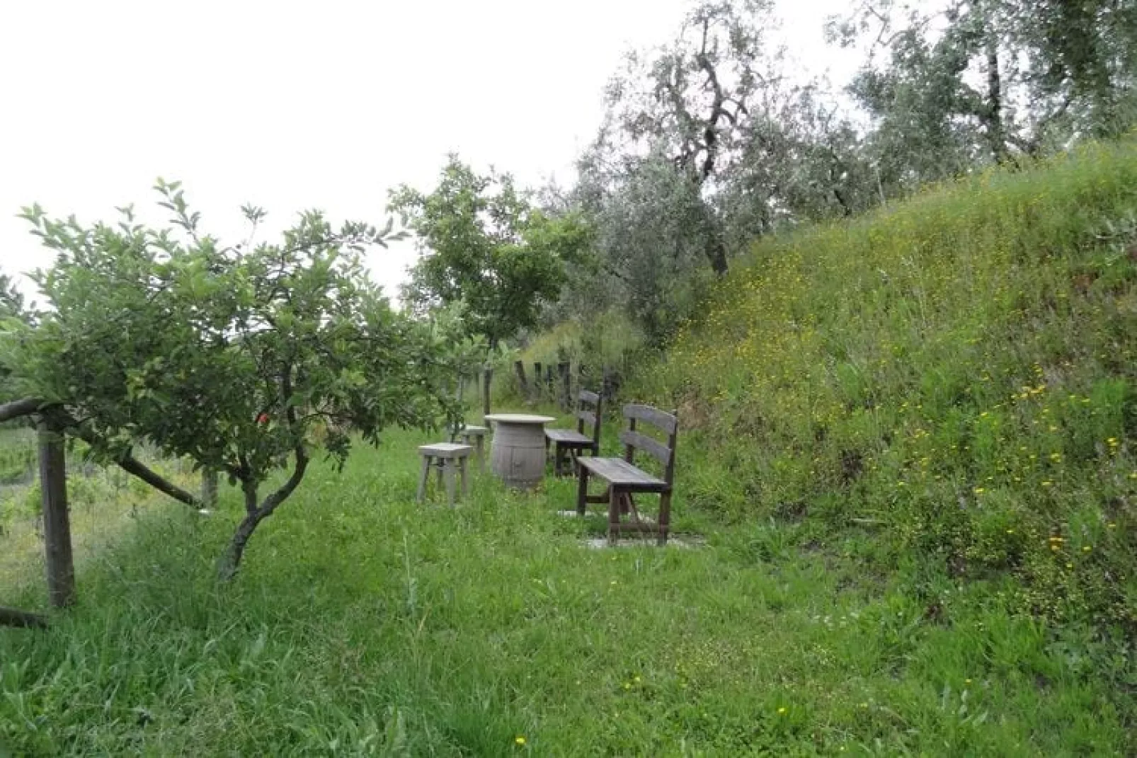 Ferienhaus Cerbaiola Lamporecchio Belegung mit bis zu 6 Personen-Exterior summer