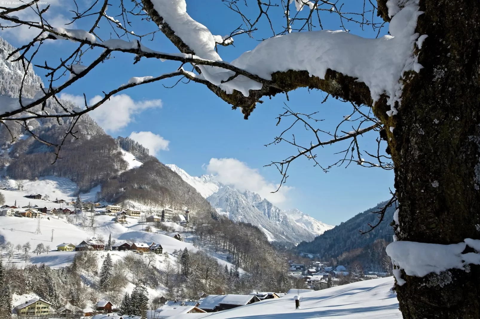 Mountain Lodge Brand-Area winter 5km