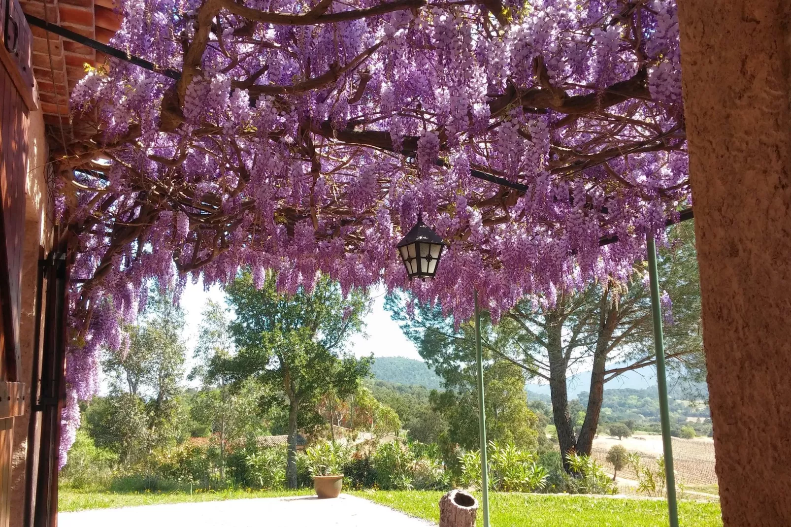 Mas des Vignes-View summer