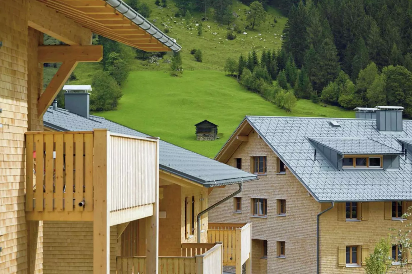 Mountain Lodge Brand-View summer