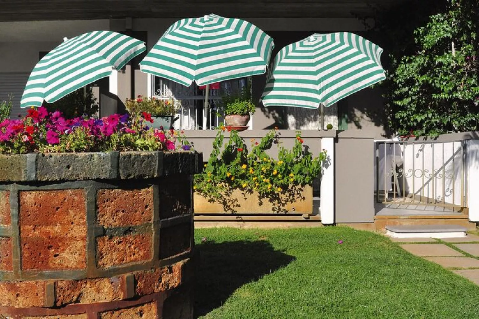Residence Ideale Silvi Marina - Trilo-Gardens summer