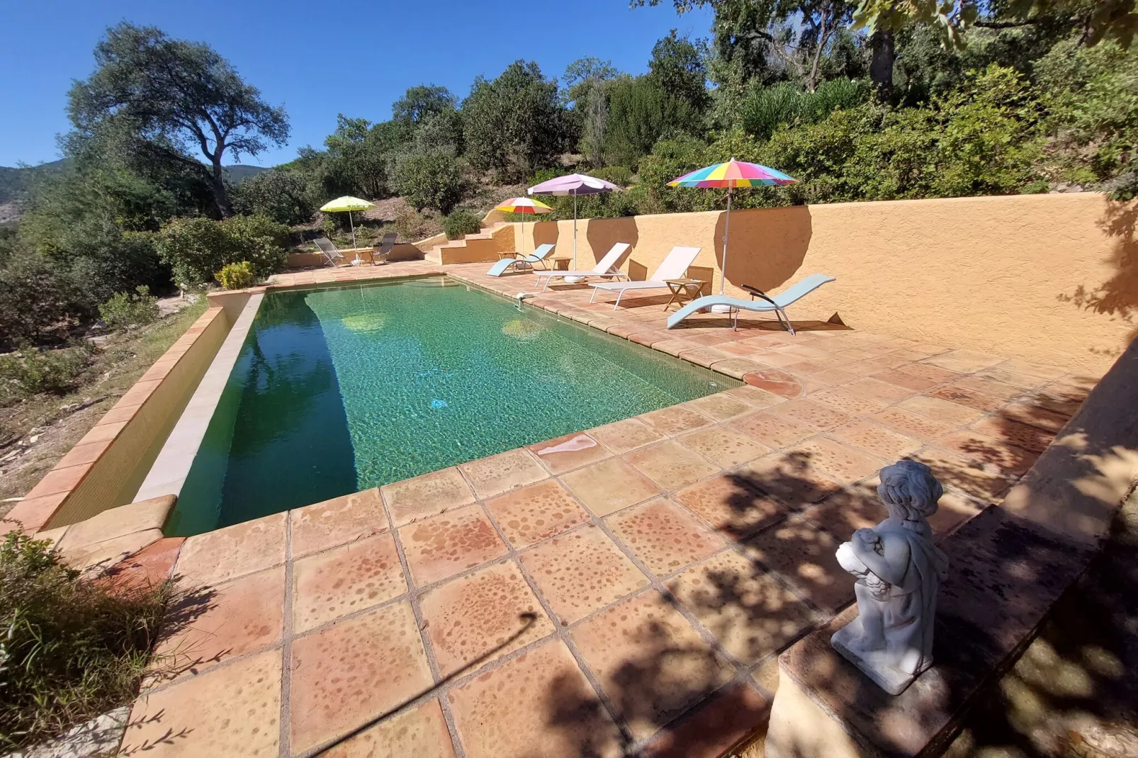 Mas des Vignes-Pool