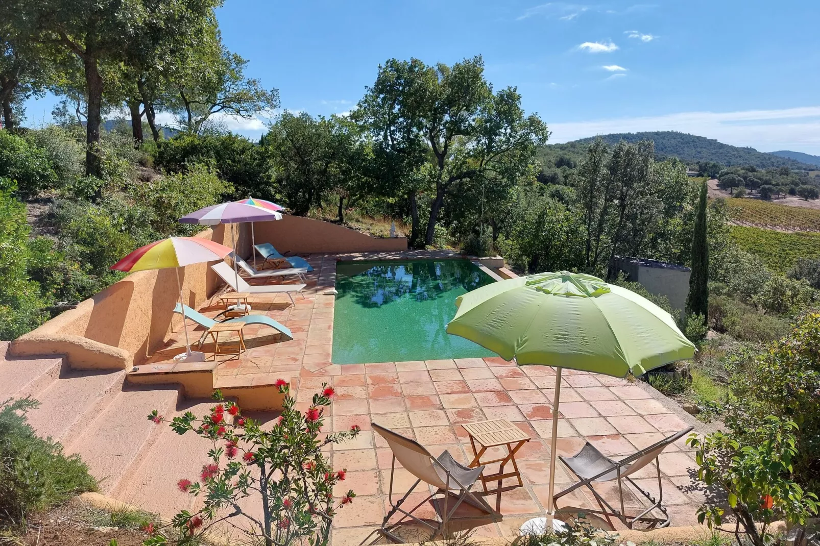 Mas des Vignes-Pool