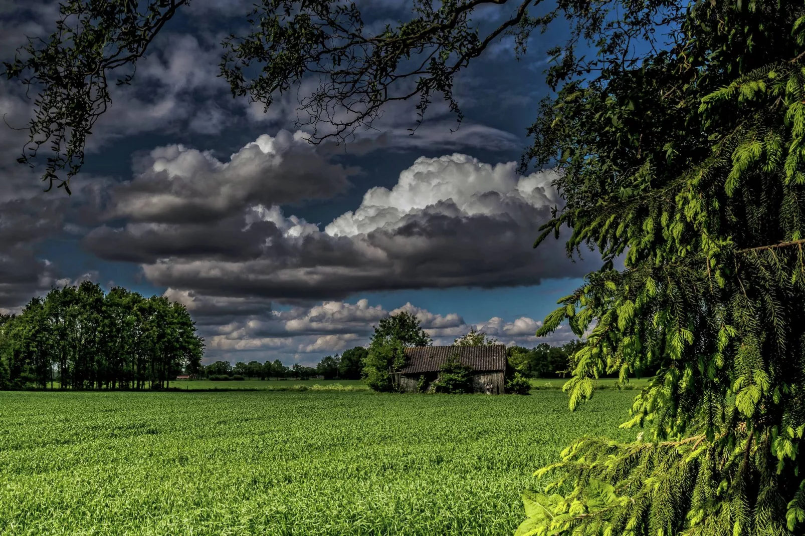 Broodkast-Areas summer 5km