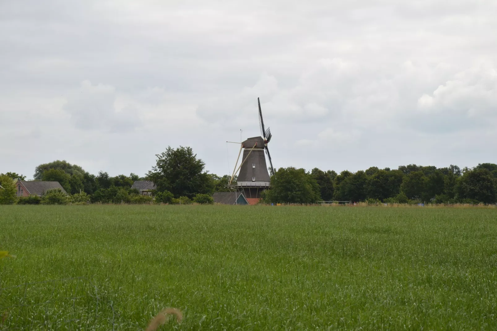 Broodkast-Areas summer 20km