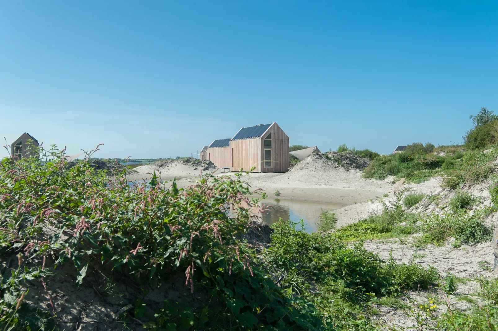 Eco Resort Grevelingenstrand-Areas summer 1km
