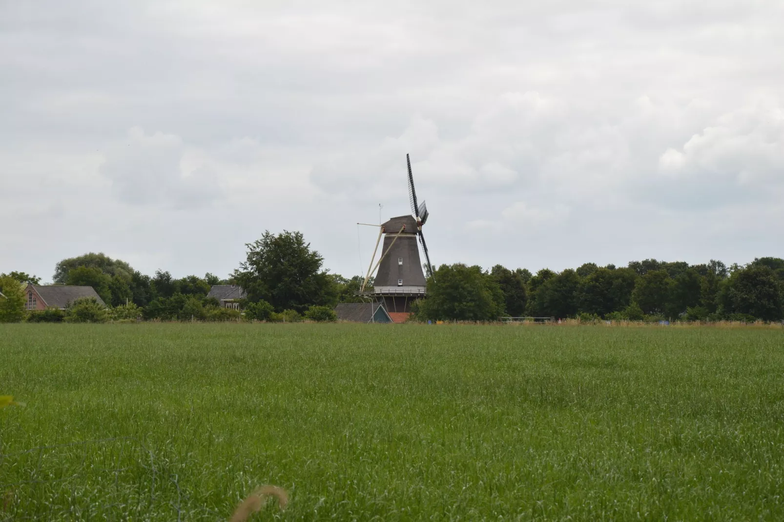 Bakhuus-Areas summer 20km