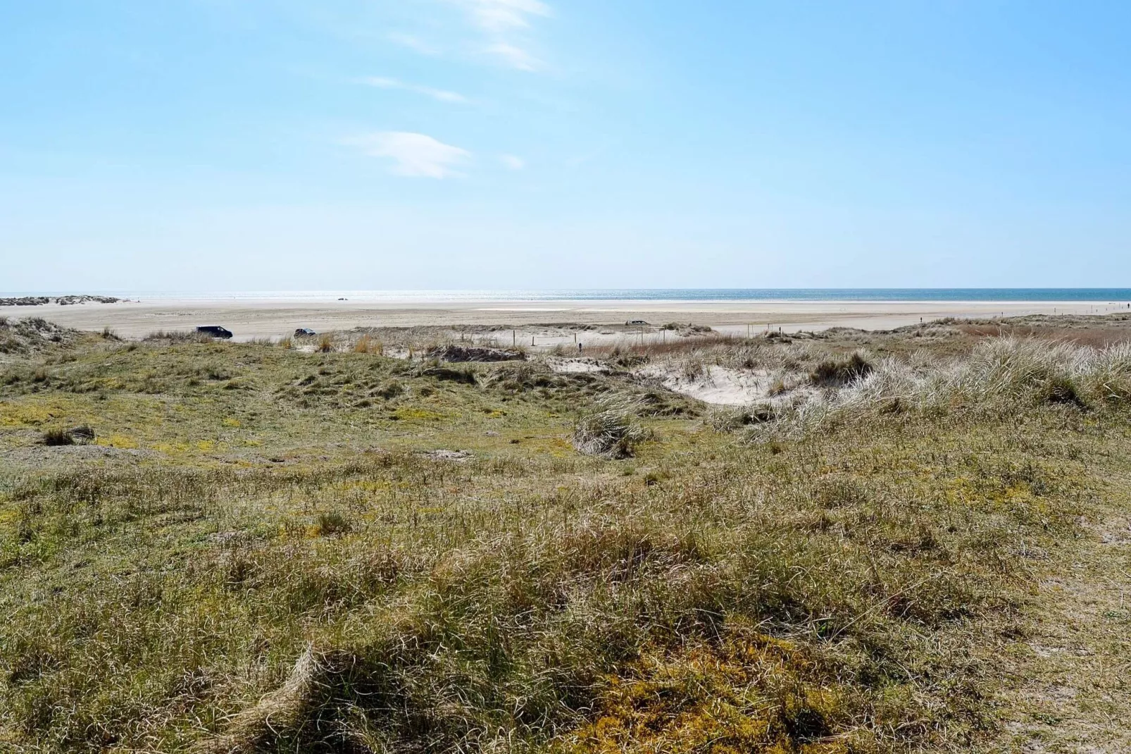4 person holiday home in Fanø-By Traum-Outdoor