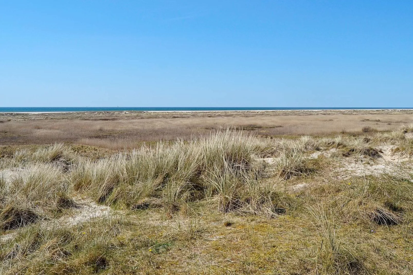 4 person holiday home in Fanø-By Traum-Outdoor