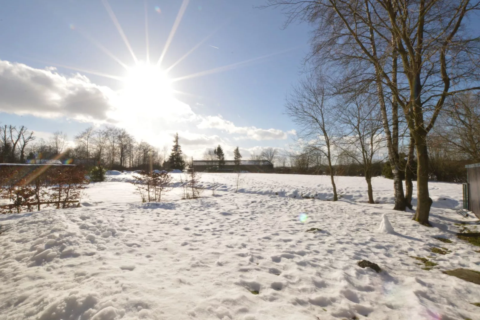 Le Spinetty-Garden winter