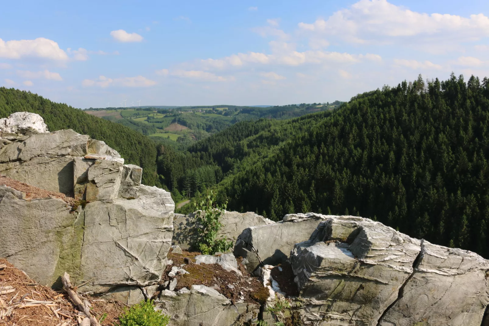 Le Spinetty-Areas summer 1km