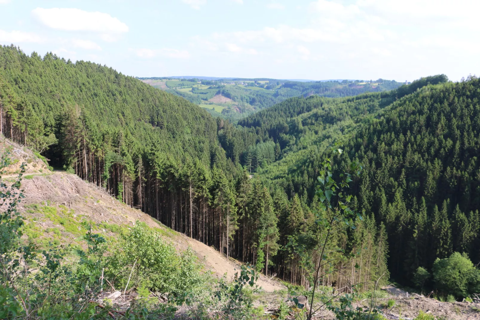 Le Spinetty-Areas summer 1km