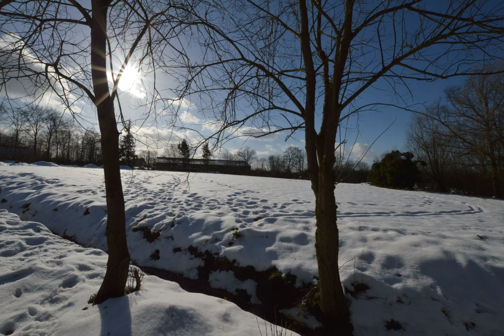 Le Spinetty-View winter