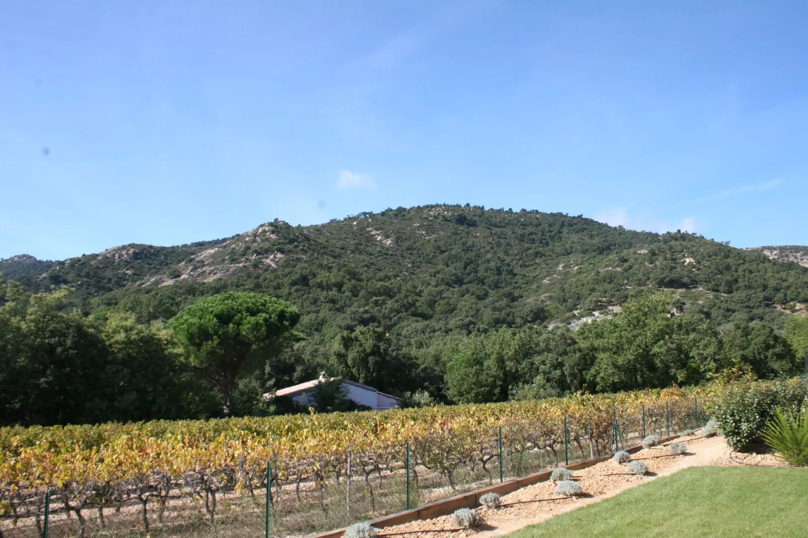 Villa d'Artagnan 8 personen-Aussicht Sommer