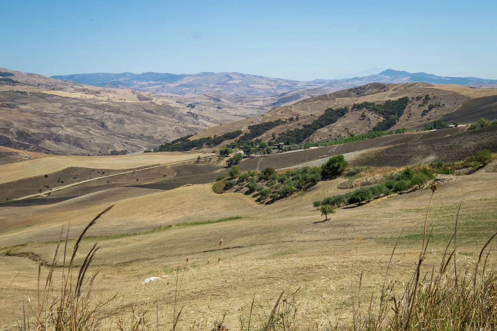 Echifaldo-Areas summer 5km